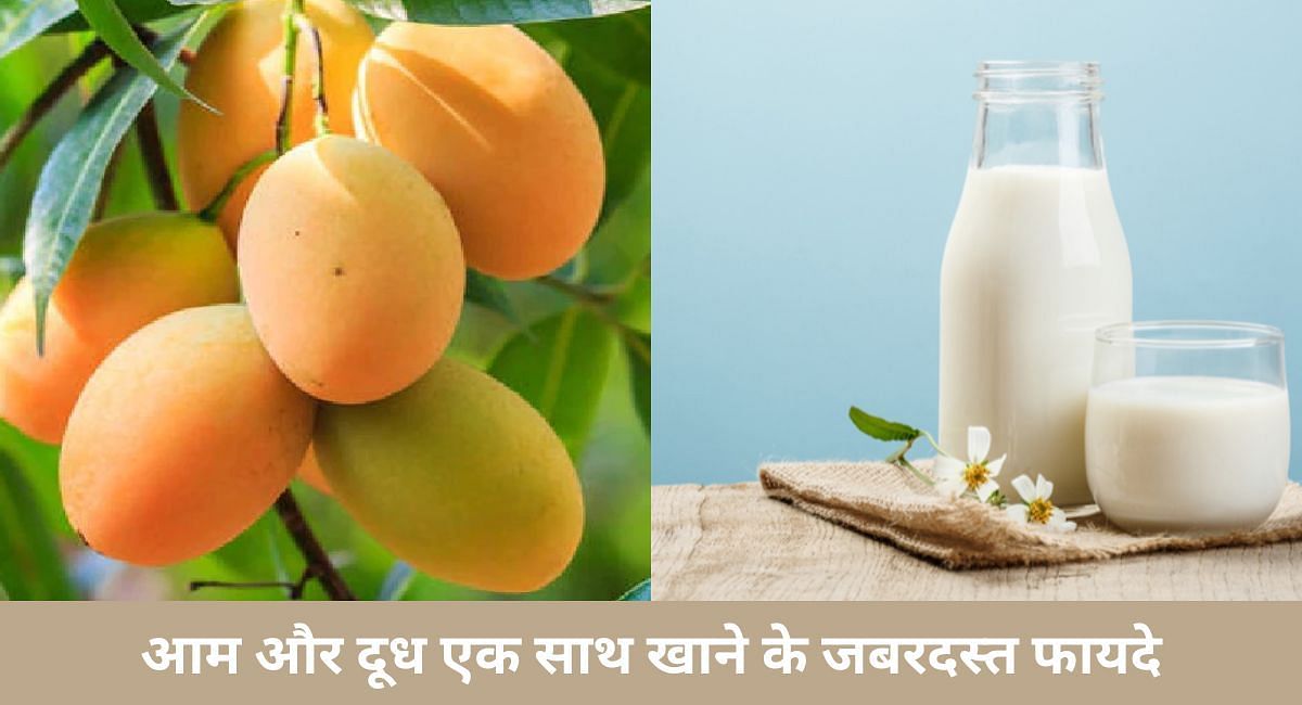 आम और दूध एक साथ खाने के जबरदस्त फायदे(फोटो-Sportskeeda hindi)