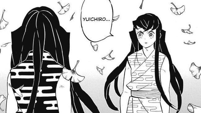 Demon Slayer: The tale of Muichiro's secret twin, explained