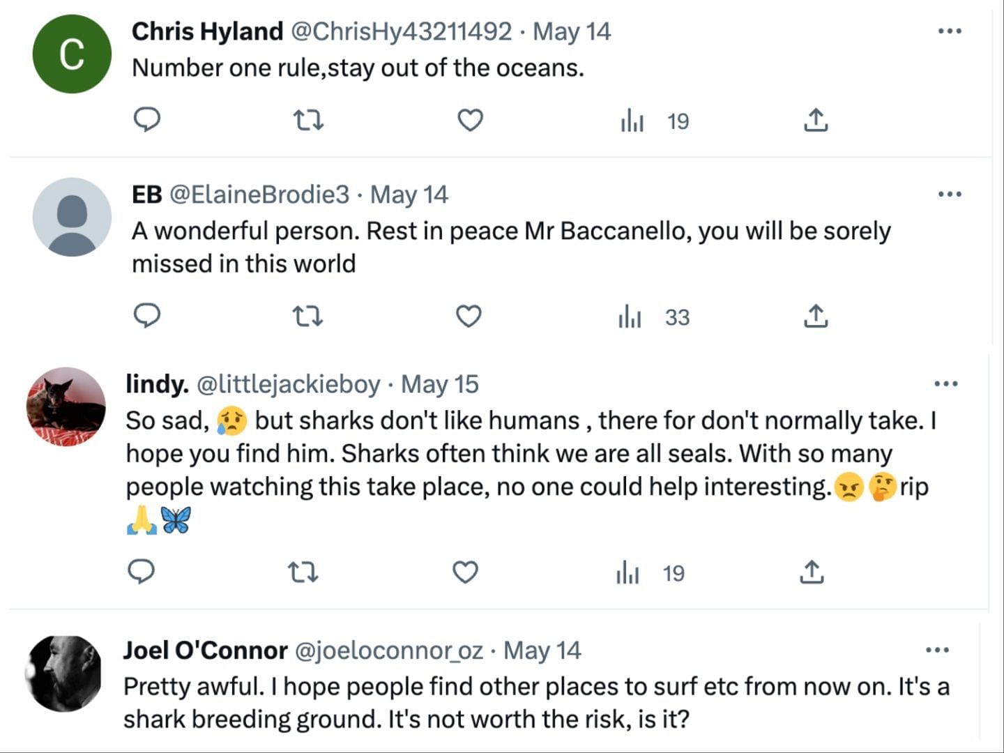 Social media users share tributes as Simon, a school teacher, goes missing after a disturbing shark attack last week: Reactions explored. (image via Twitter)