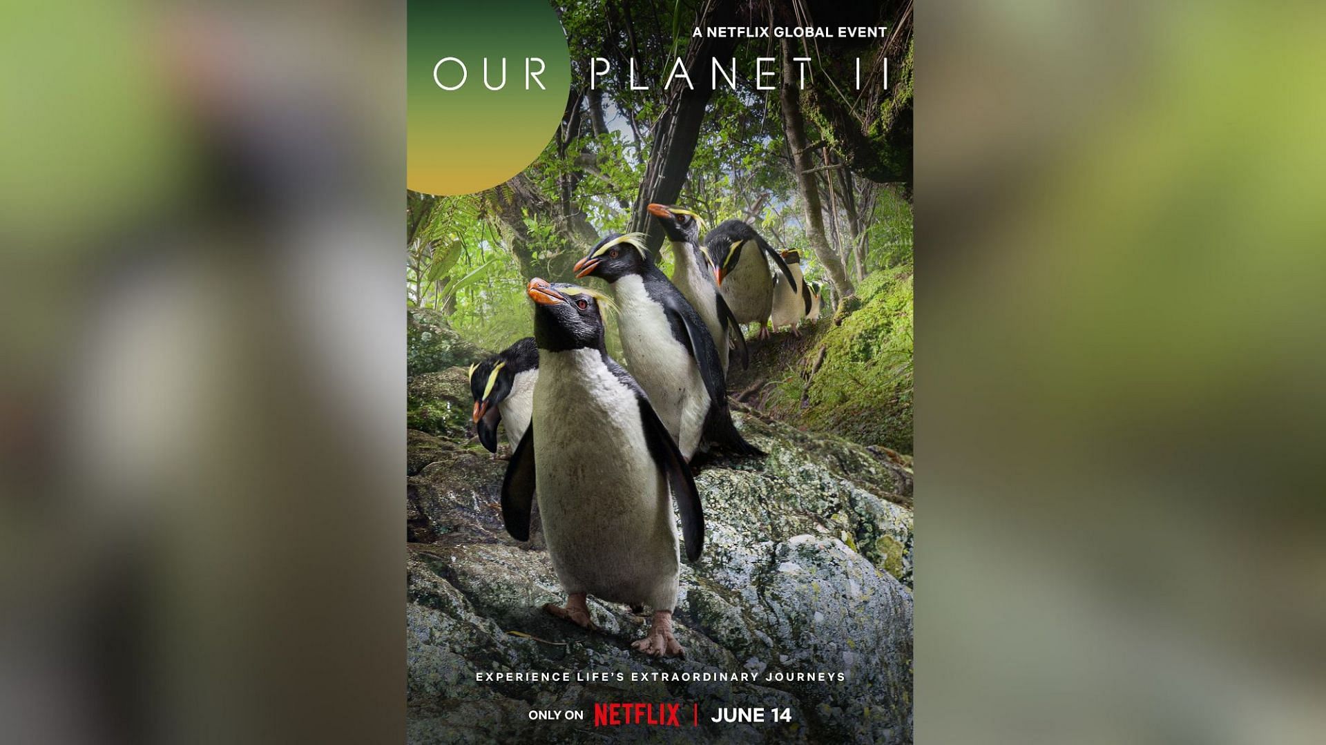 Our Planet II (Image via Netflix)