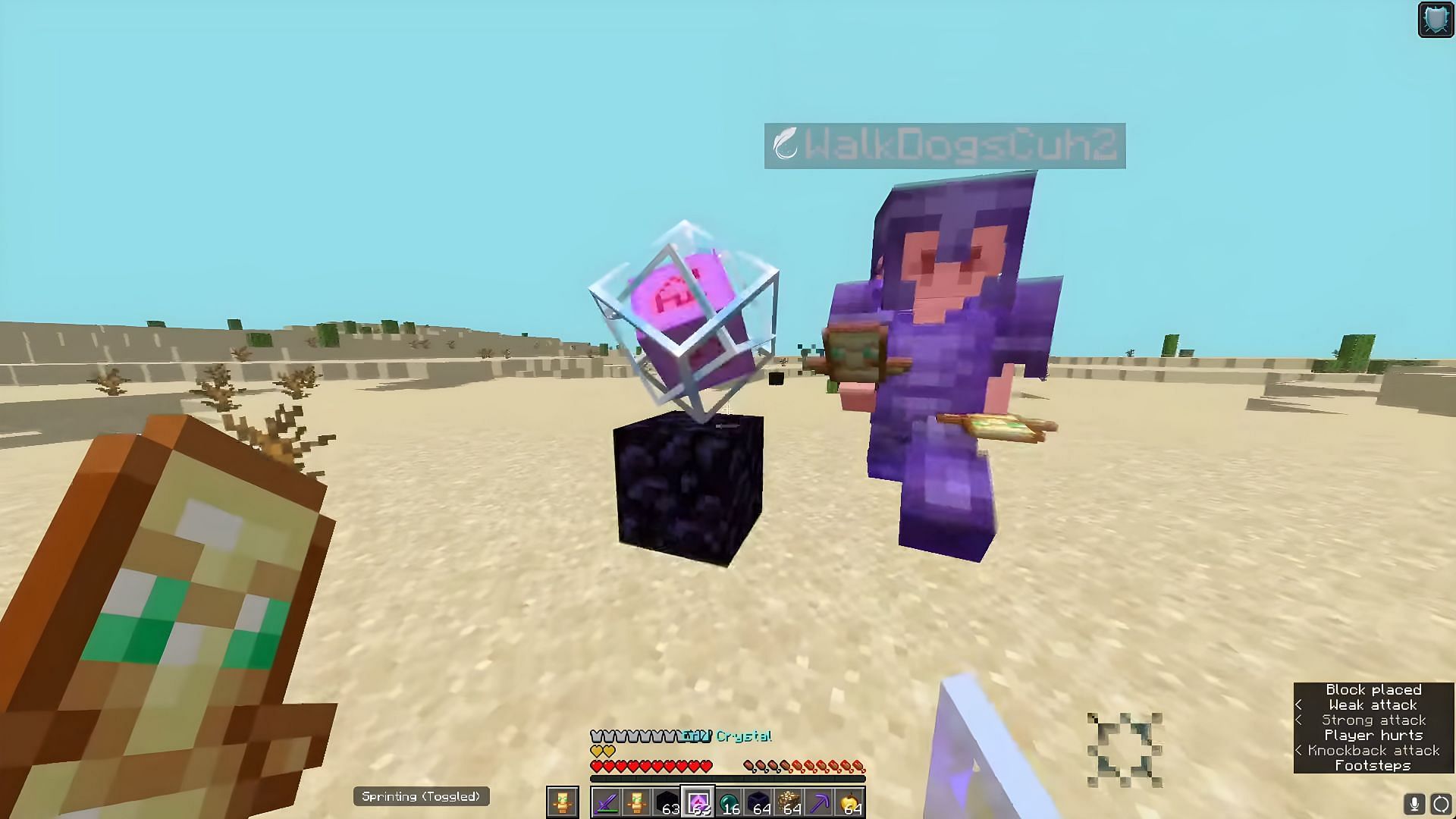 Purple PvP is an extremely popular server (Image via Mojang)