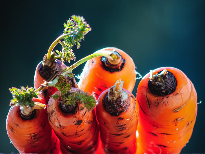 Carrots in season Enjoying fresh and local produce