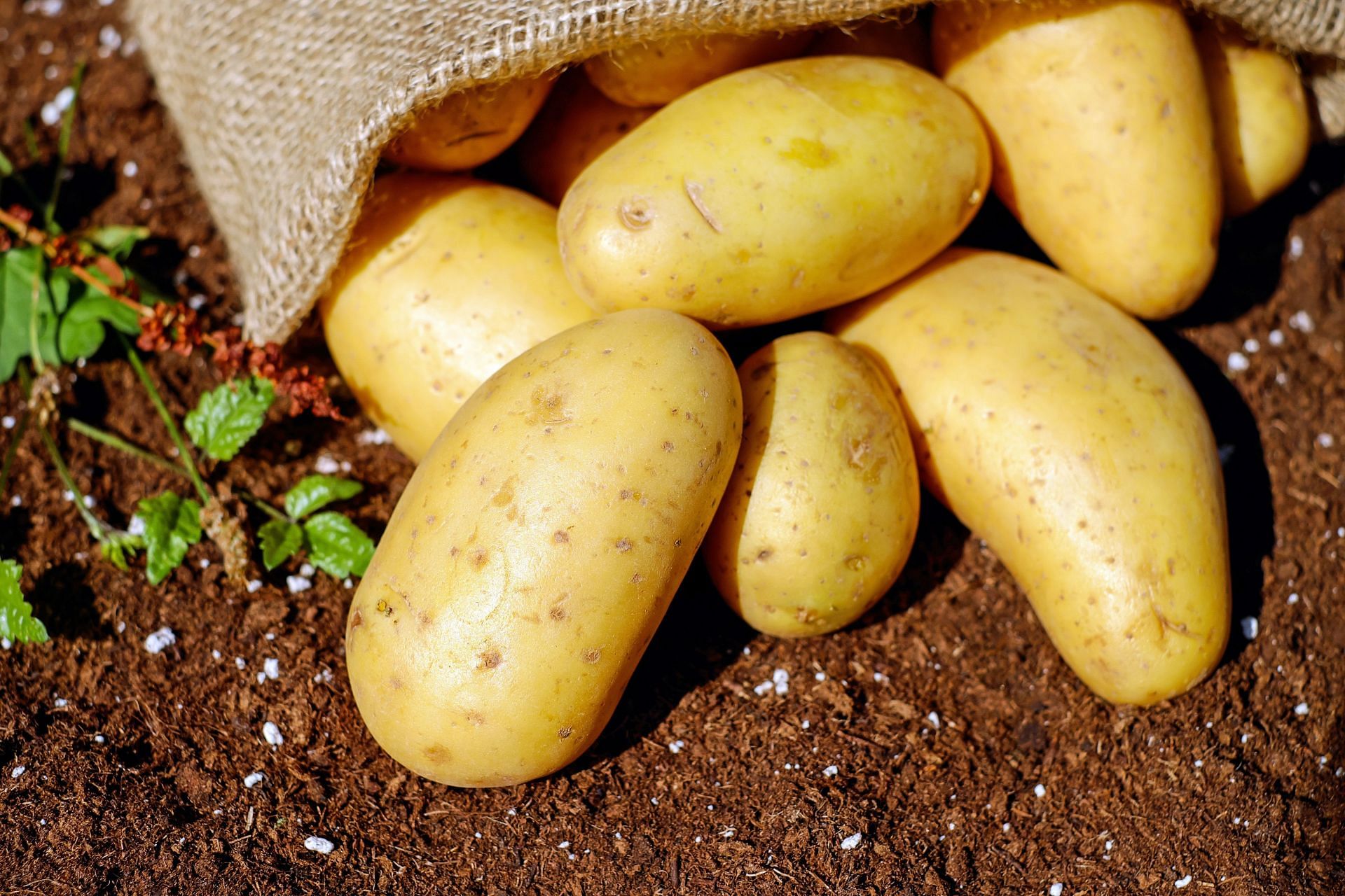 10 Surprising Health Benefits of Potatoes (Image via Pexels)