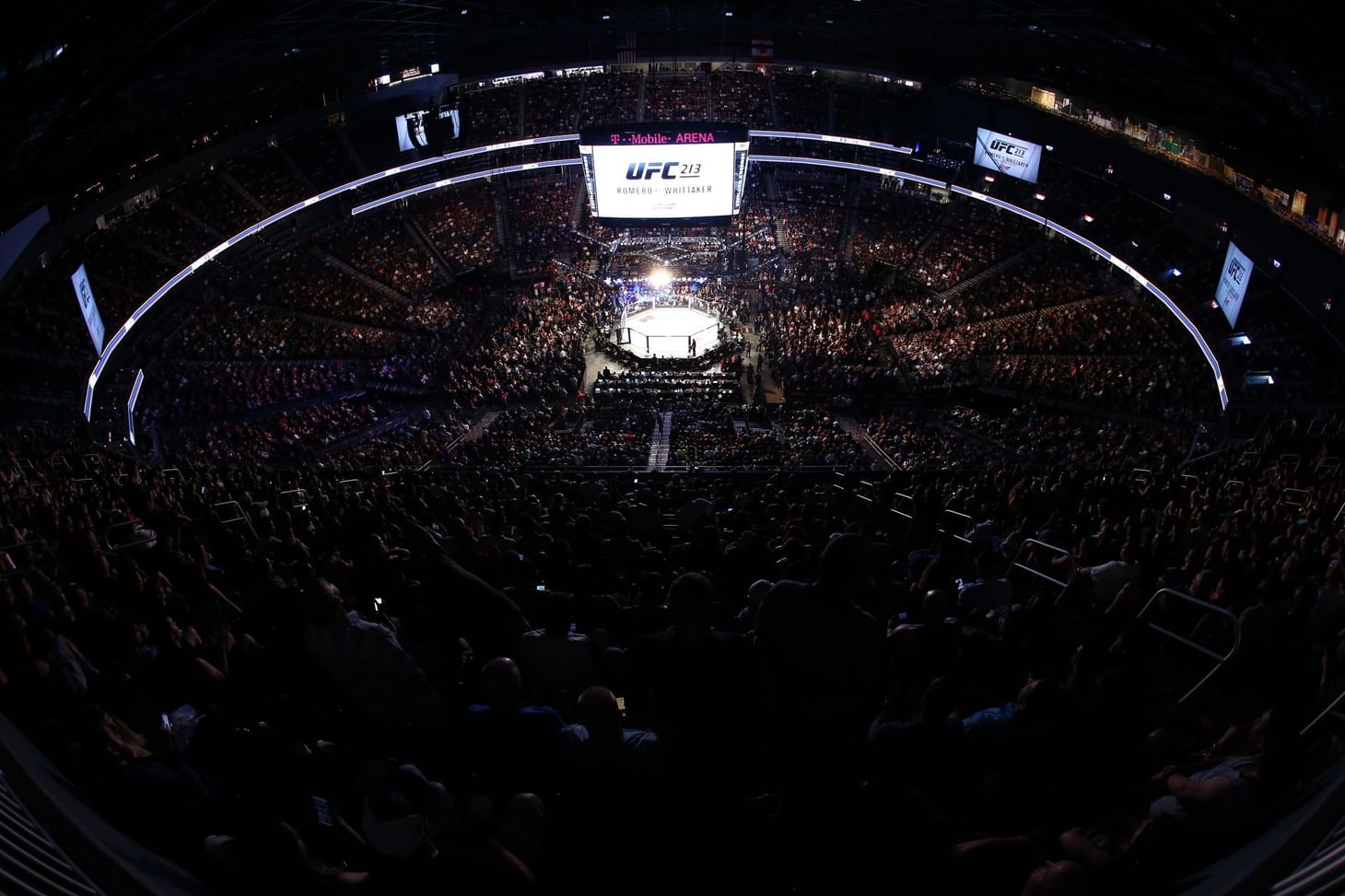 5 MMA Fighters Who Died In The Octagon