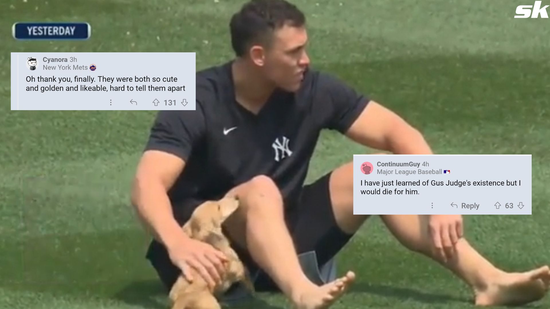 MLB fans react to adorable moments between Aaron Judge and pet dog, Gus:  Both so cute and golden and likeable