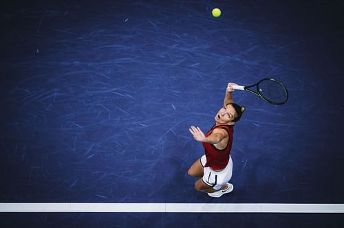 Halep's career achievements include two Grand Slam titles (Image via Getty)