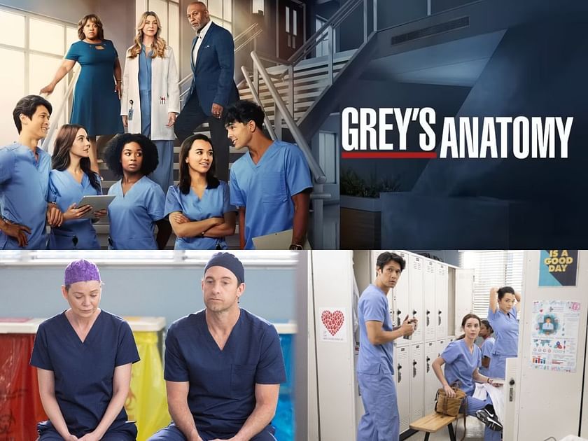 Is This Grey's Anatomy's Final Season? Grey's Renewed For Season