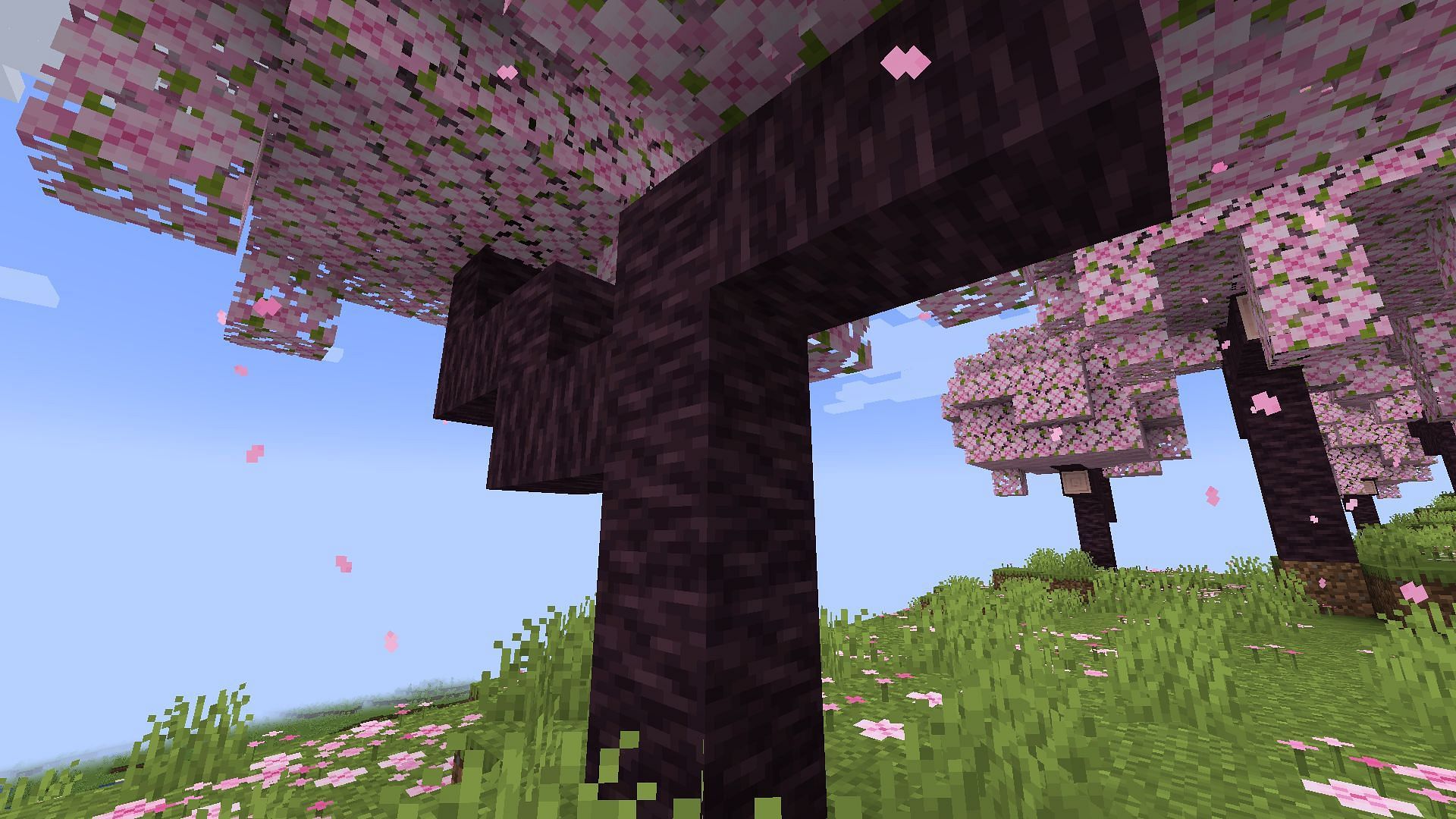 Cherry trees are the newest feature of the Cherry Grove biome in the Minecraft 1.20 update (Image via Mojang)