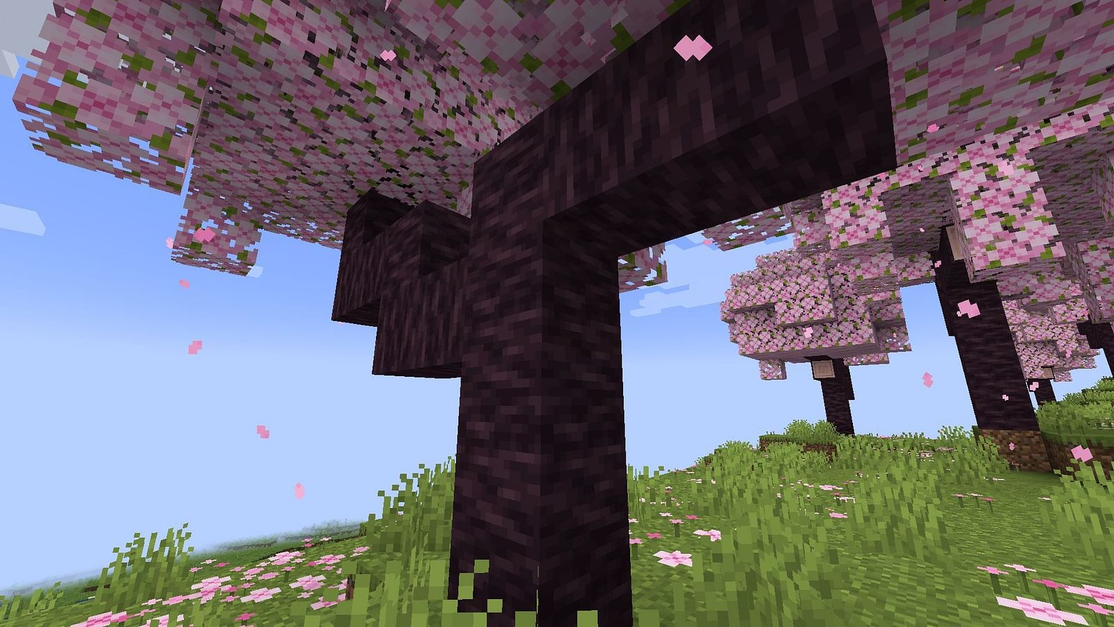 5 things to know about cherry groves in Minecraft 1.20 update