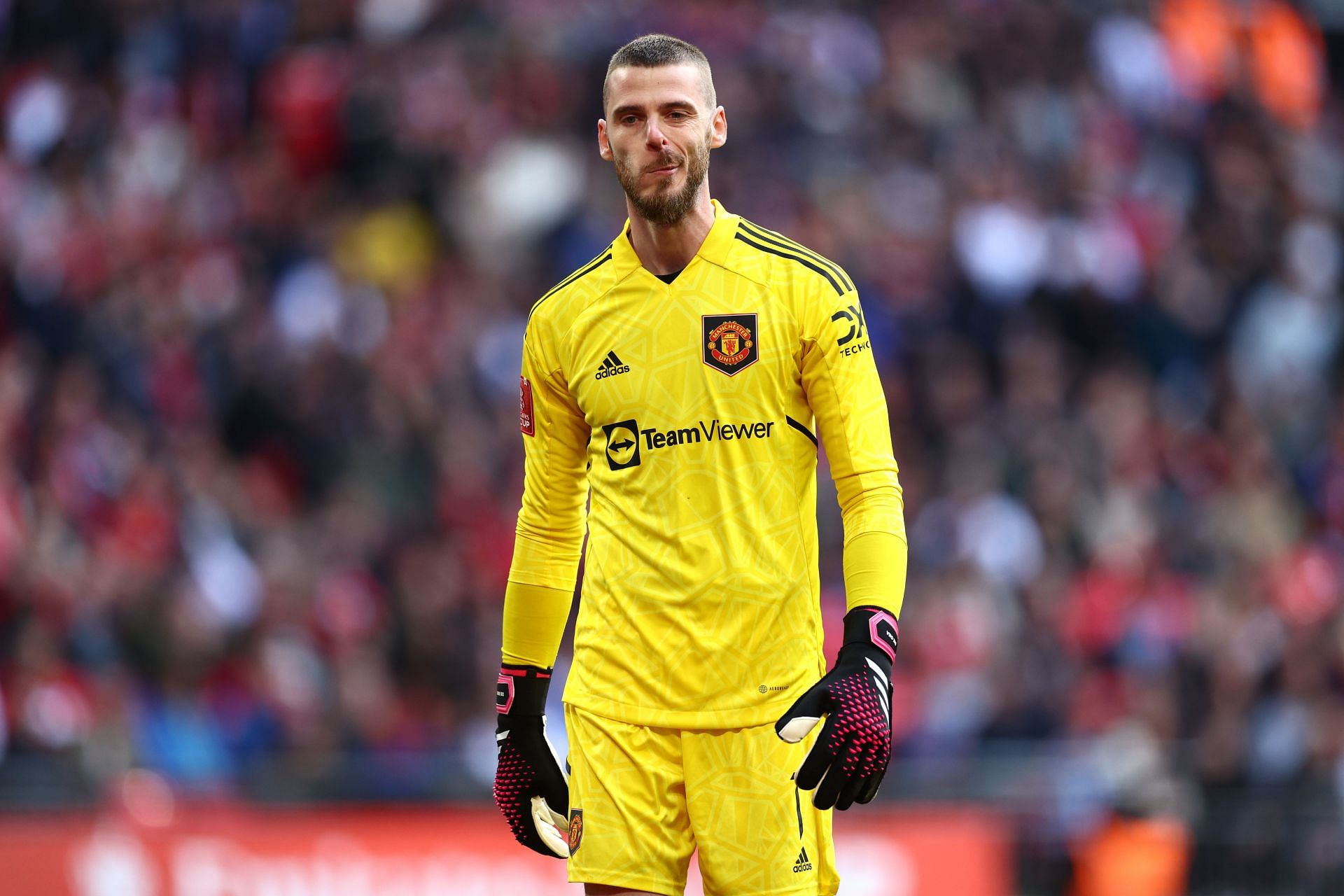 David de Gea is expected to continued his stay at Old Trafford.