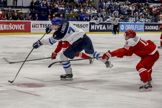 Ice World - Hockey