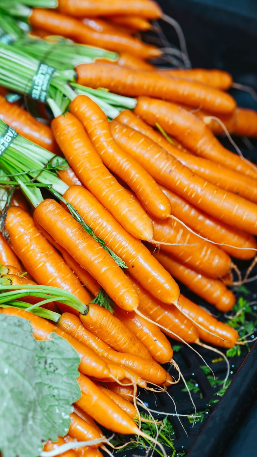 Carrots in season Enjoying fresh and local produce