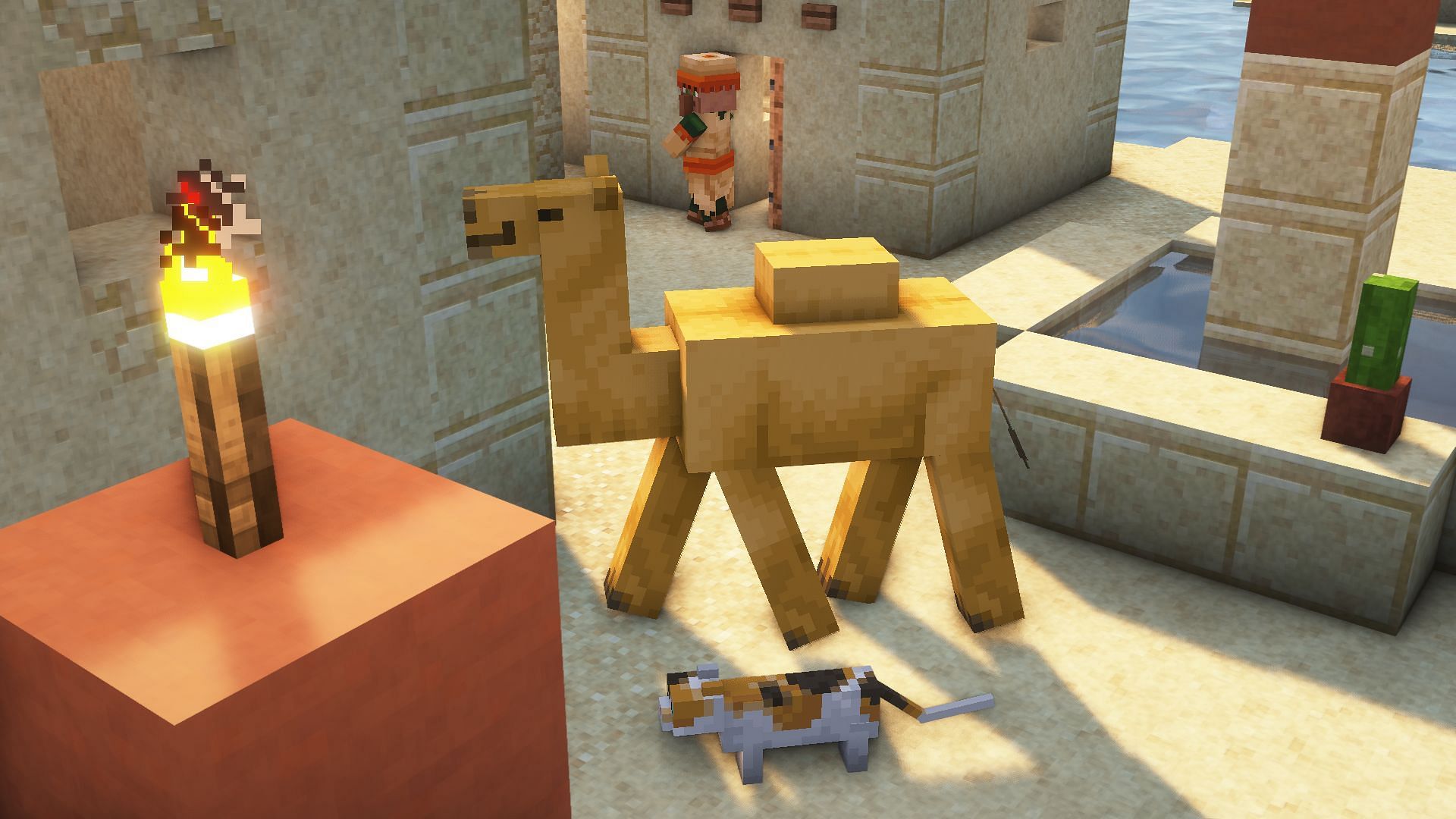 A camel in a desert village (Image via Mojang)