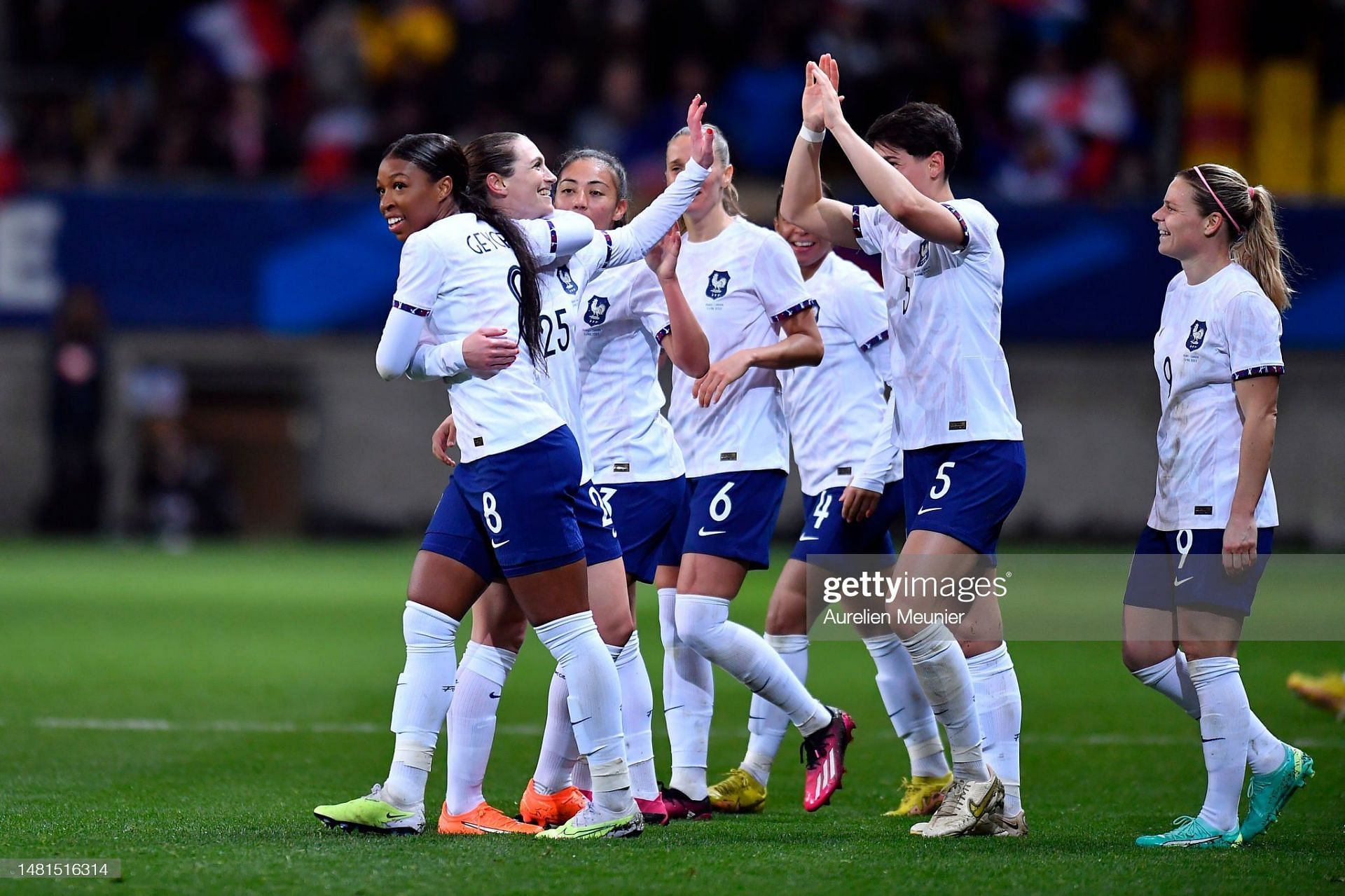 France women's football team hire Herve Renard as their new head coach