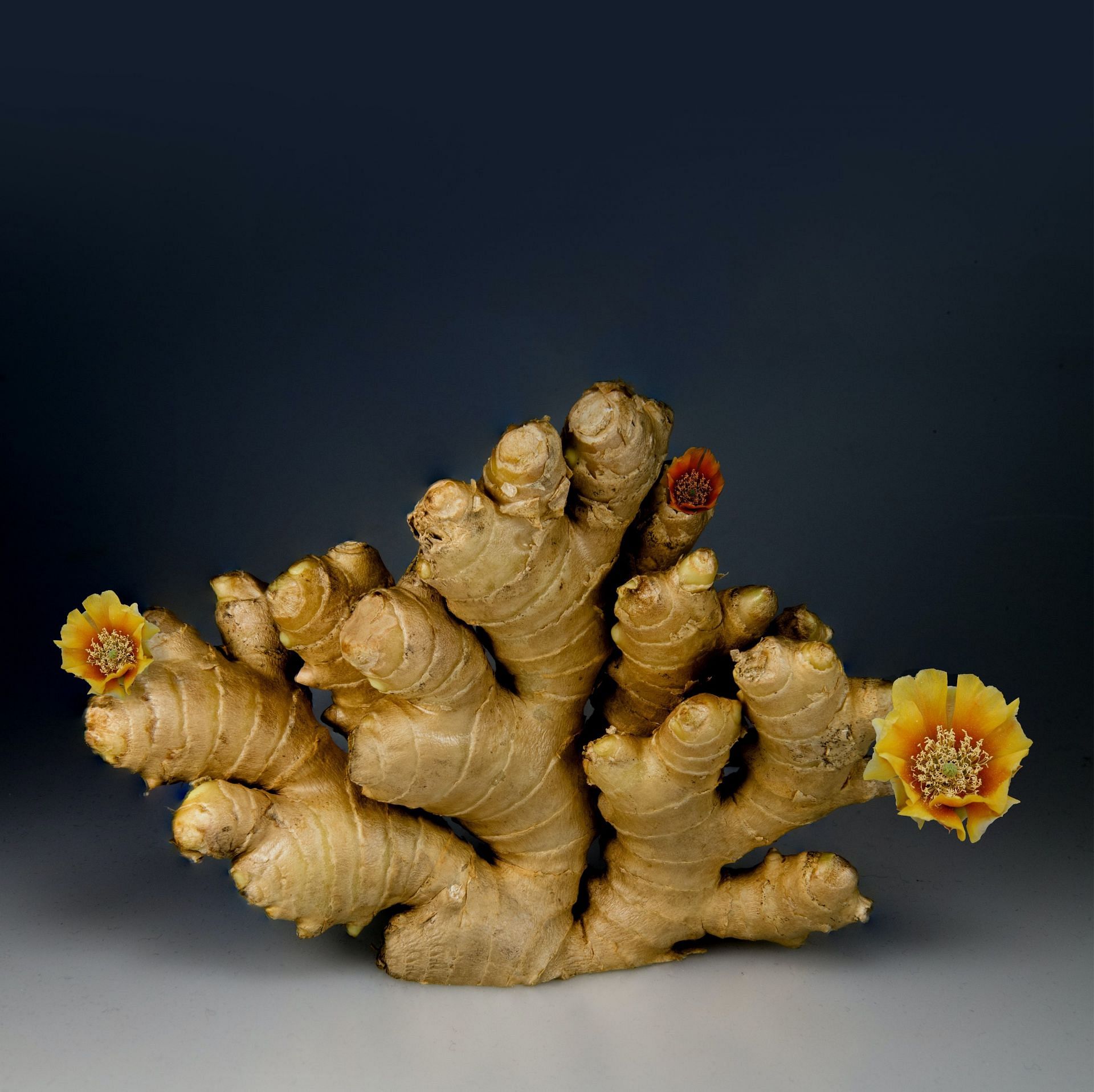 Numerous studies have shown ginger for nausea relief works well. (Image via Pexels/ Joris Neyt)