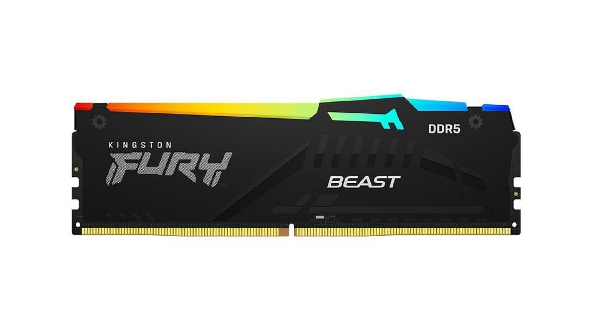 Kingston&#039;s Fury Beast RGB lineup is one of the most affordable DDR5 RAM sticks (Image via Newegg)