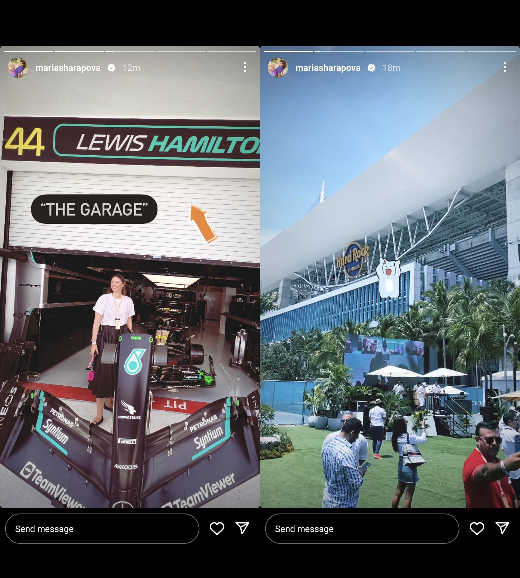 Sharapova's Instagram story