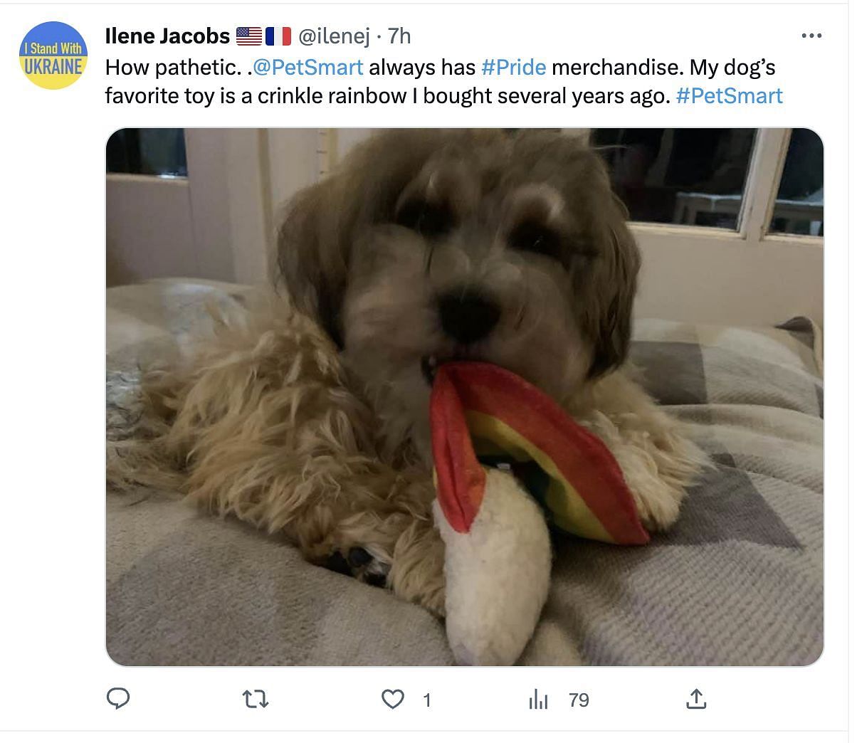 Popular pet brand launches Pride Merchandise to support LGBTQ: Social media users come out in support amidst backlash. (Image via Twitter)