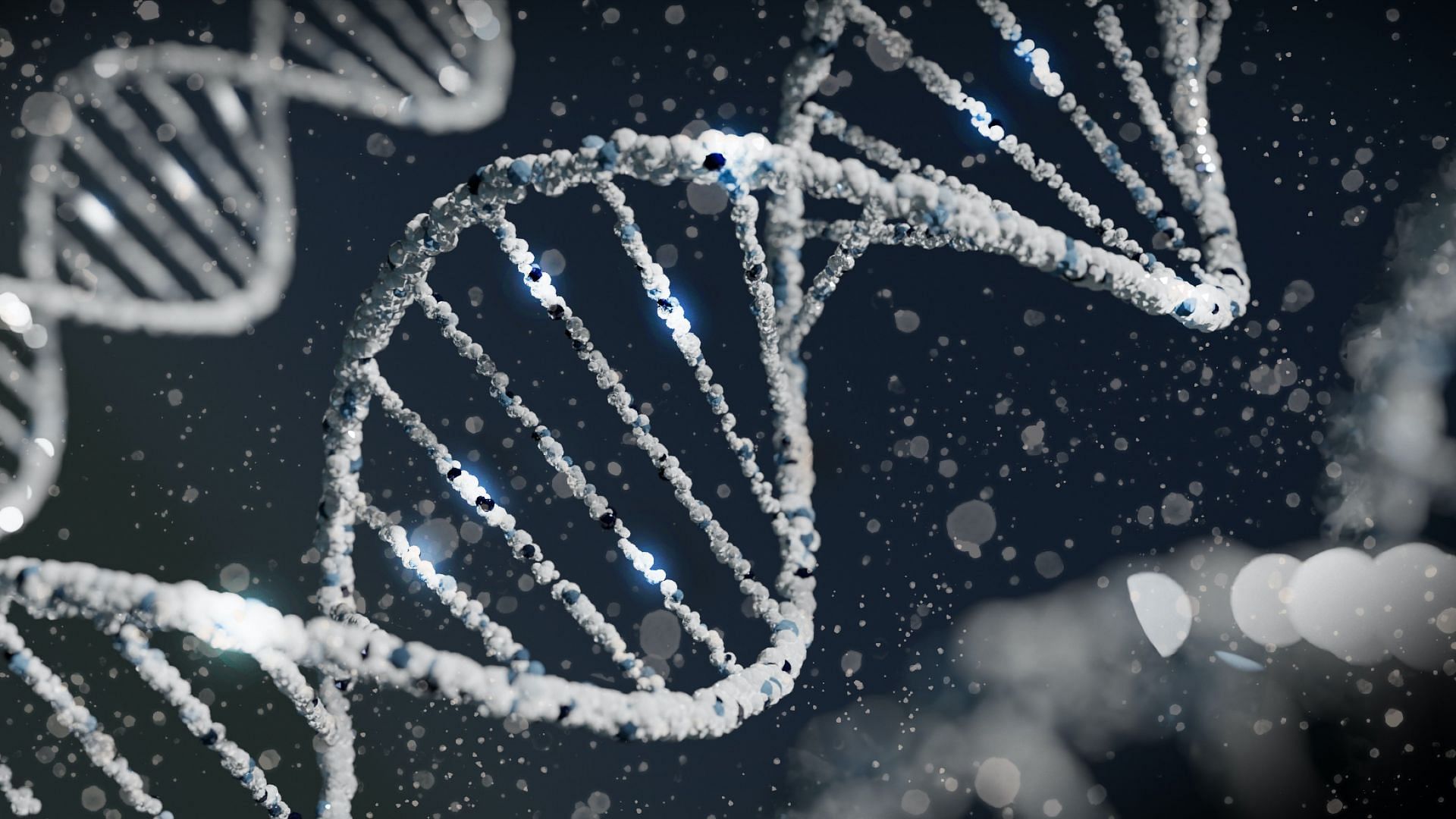 DNA damage causes cancer. (Image via Unsplash/Sangharsh Lohakare)