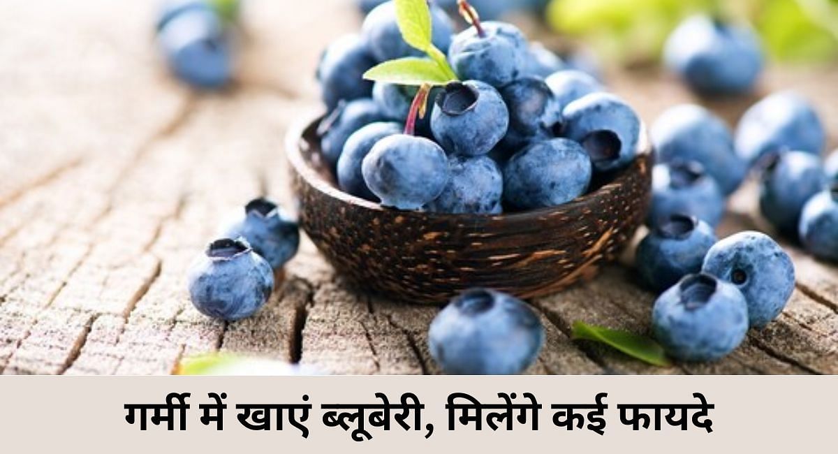 Blueberry in online hindi