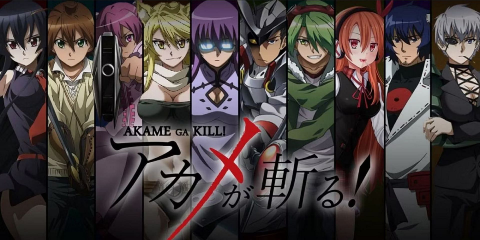 Akame ga Kill!&#039;s main cast and Night Raid members (Image via Studio White Fox)