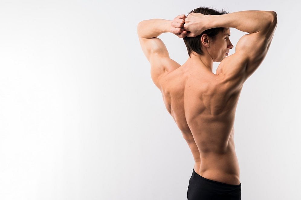 These muscles let you elevate the arms. (Image via Freepik)
