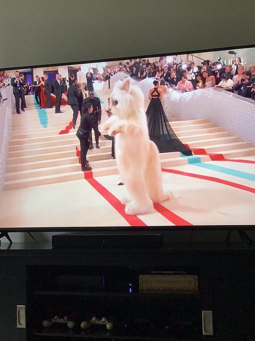 SUGA made it”: ARMYs joke that the Haegeum singer debuted at the Met Gala  in a cat outfit