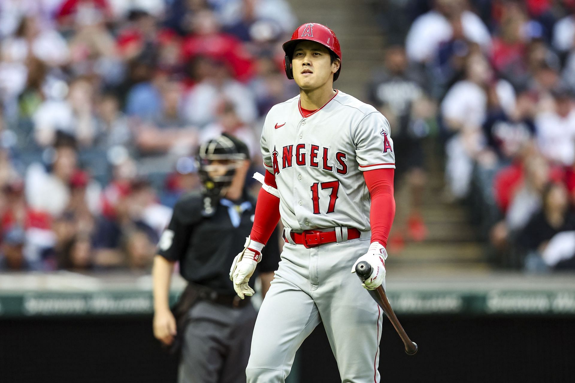 The Angels might make the playoffs