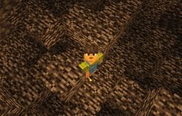 5 interesting facts about Bedrock in Minecraft