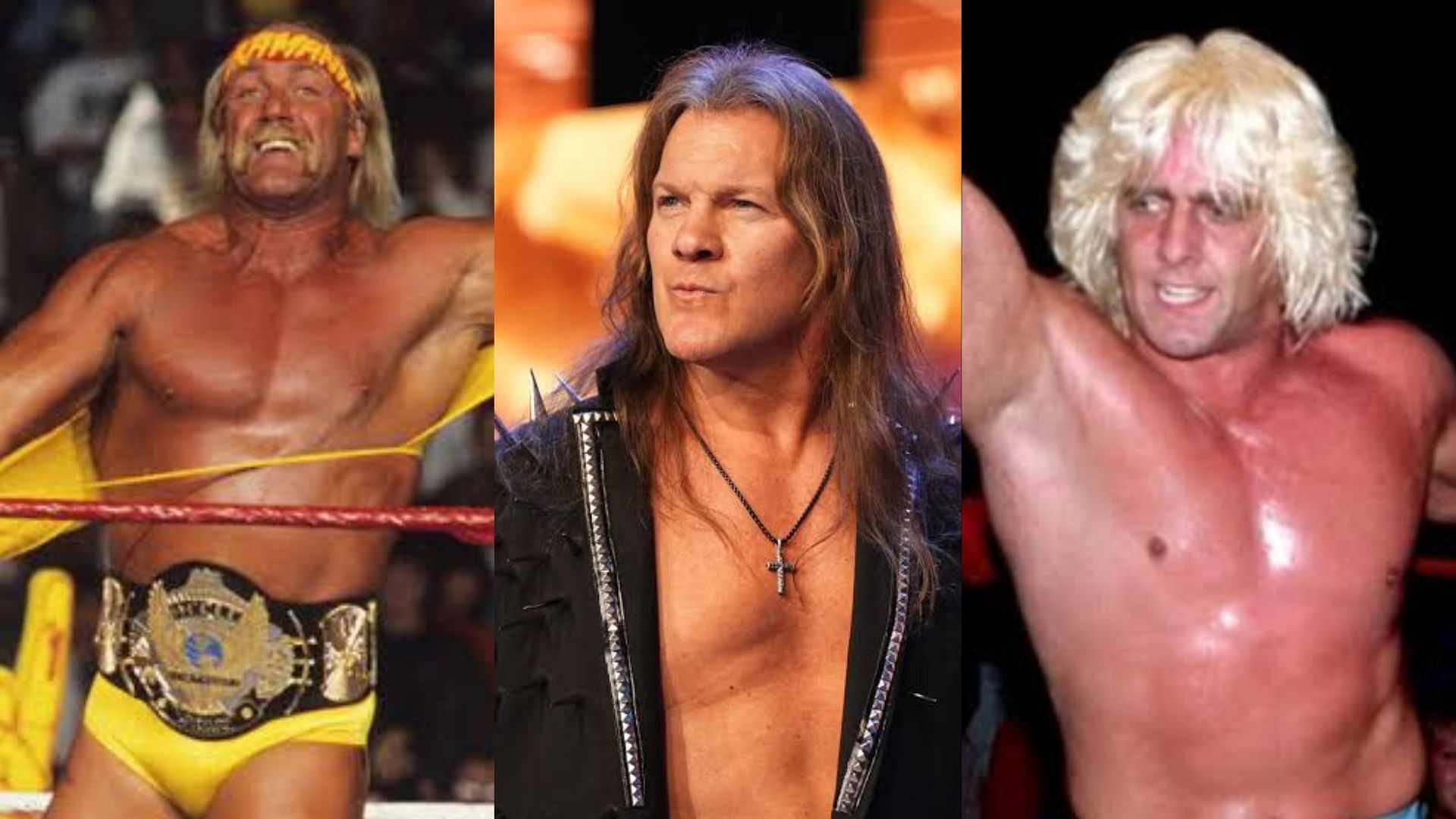 Hulk Hogan, Chris Jericho and Ric Flair are all former WWE Champions.