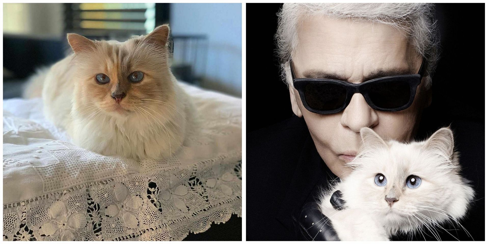 All the Met Gala tributes to Choupette, Karl Lagerfeld's cat