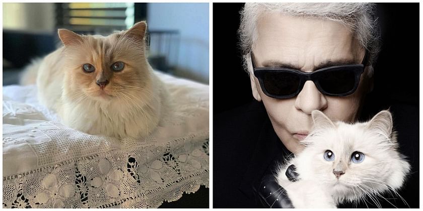 Was Karl Lagerfeld's Cat, Choupette, at the 2023 Met Gala?