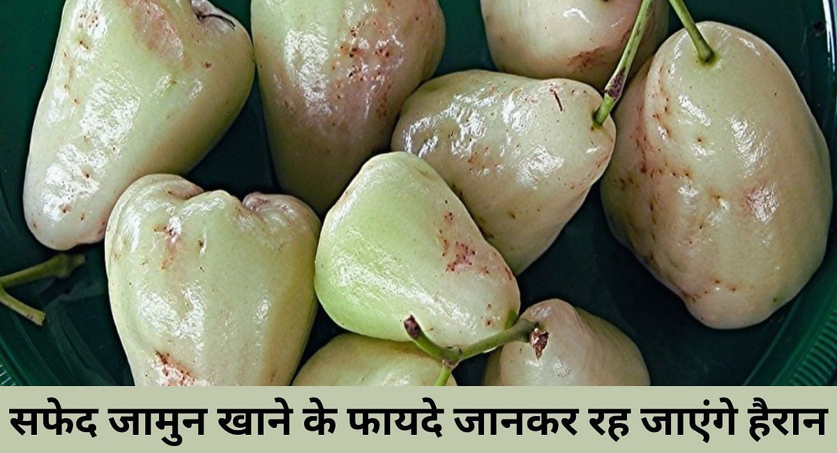 सफेद जामुन खाने के फायदे जानकर रह जाएंगे हैरान(फोटो-Sportskeeda hindi)