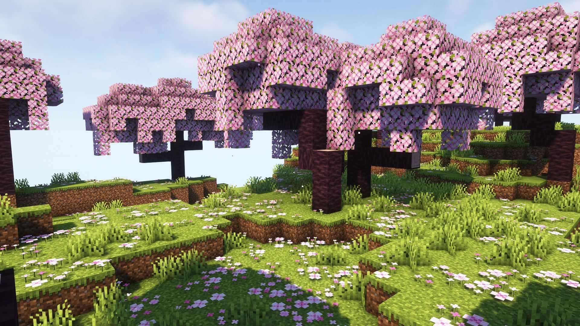 Cherry Grove is the brand new biome coming to the Minecraft 1.20 Trails and Tales update (Image via Mojang)