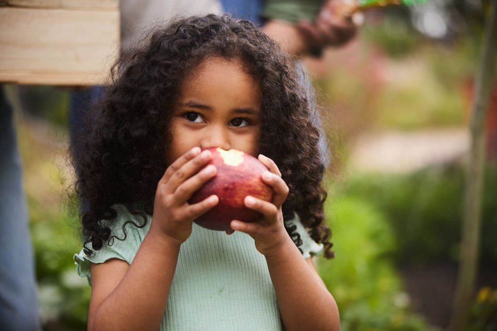 Adorable little girl with curly hair eating an apple while standing outside in a garden with her parents in the background