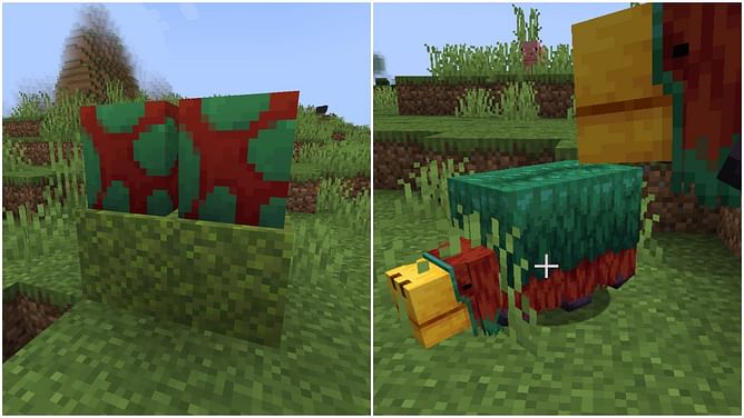 How to get Little Sniffs advancement in Minecraft 1.20 Trails and Tales update