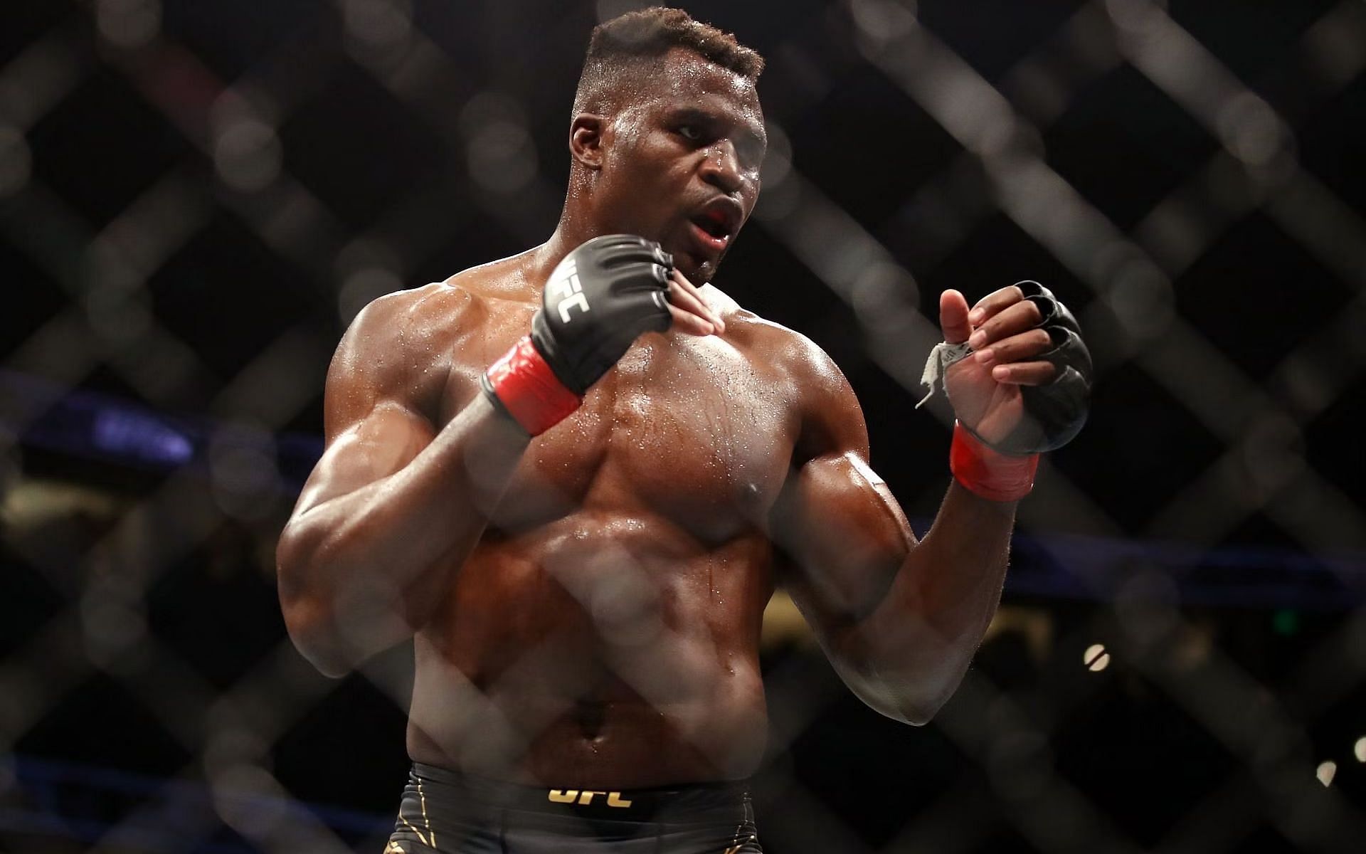 Francis Ngannou is still waiting for his boxing debut [Image Credit: Getty]