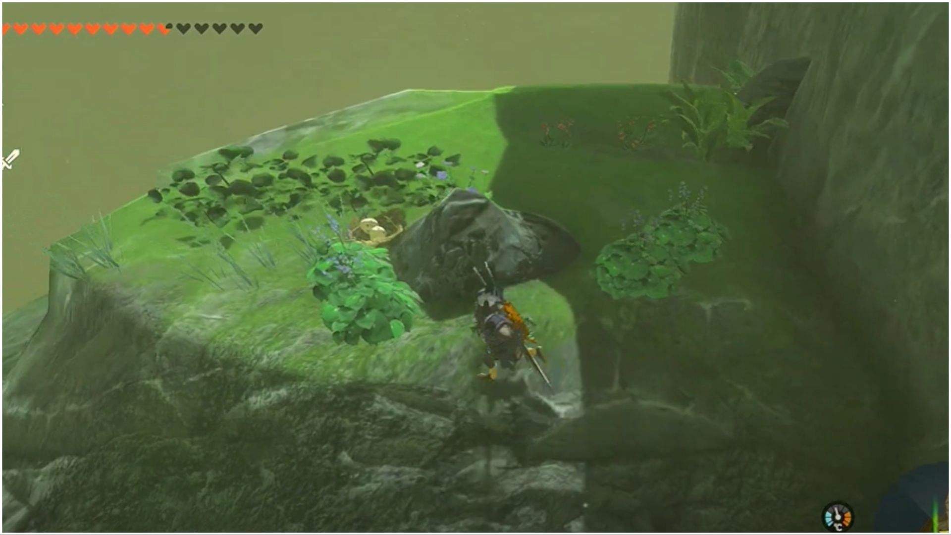 Players must explore the mountain corners for Bird Eggs (Image via The Legend of Zelda Tears of the Kingdom)