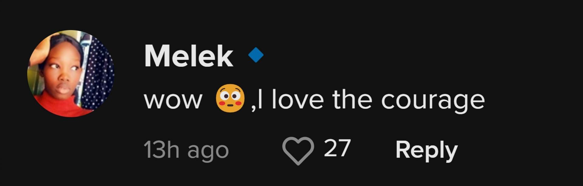 TikTok comments praised the actions of the native (Image via TikTok)