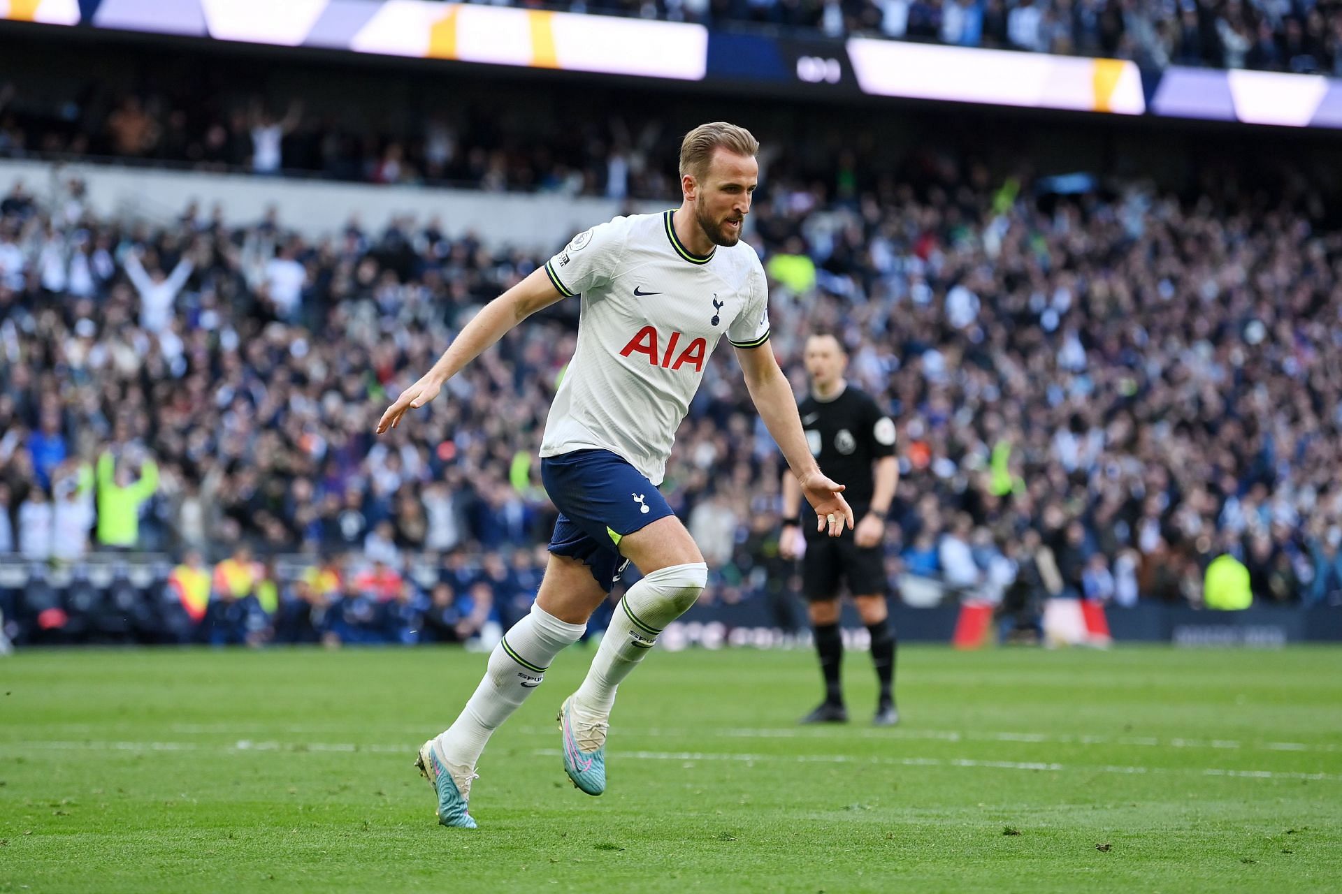 Tottenham Hotspur v Brighton &amp; Hove Albion - Premier League