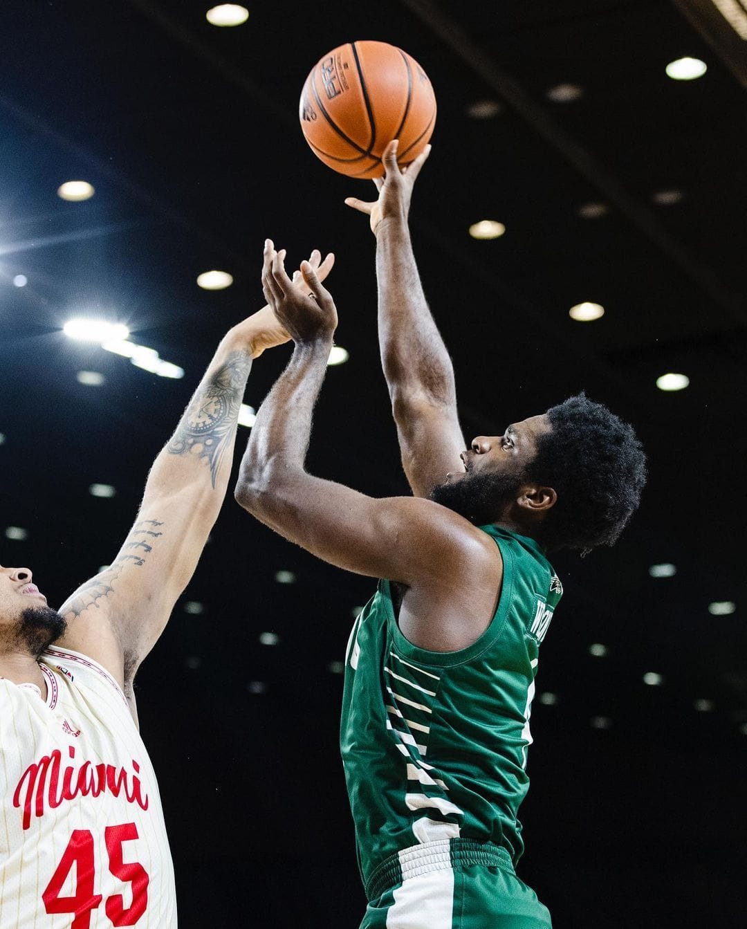 What is Dwight Wilson's Wingspan?