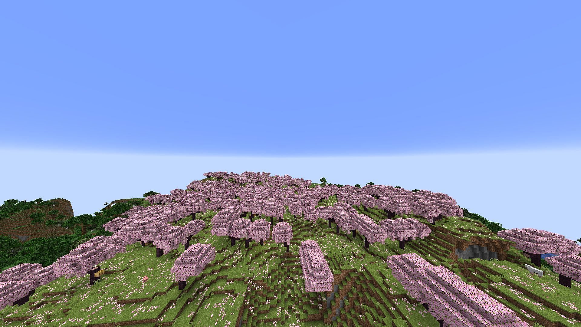 This cherry grove biome stretches on for a while (Image via Mojang)
