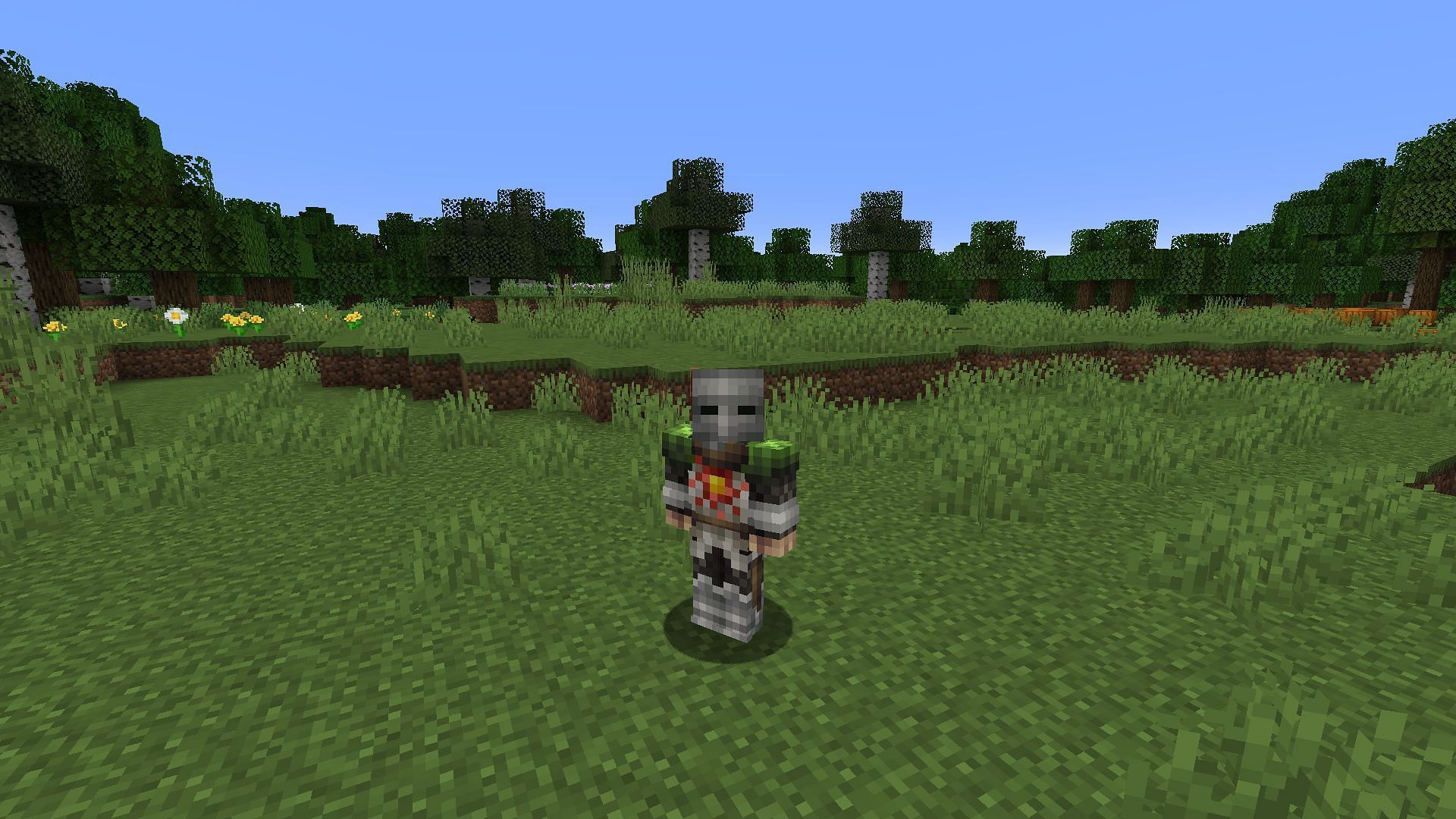 Become one of Dark Souls&#039; most beloved NPCs by equipping this skin (Image via Mojang)