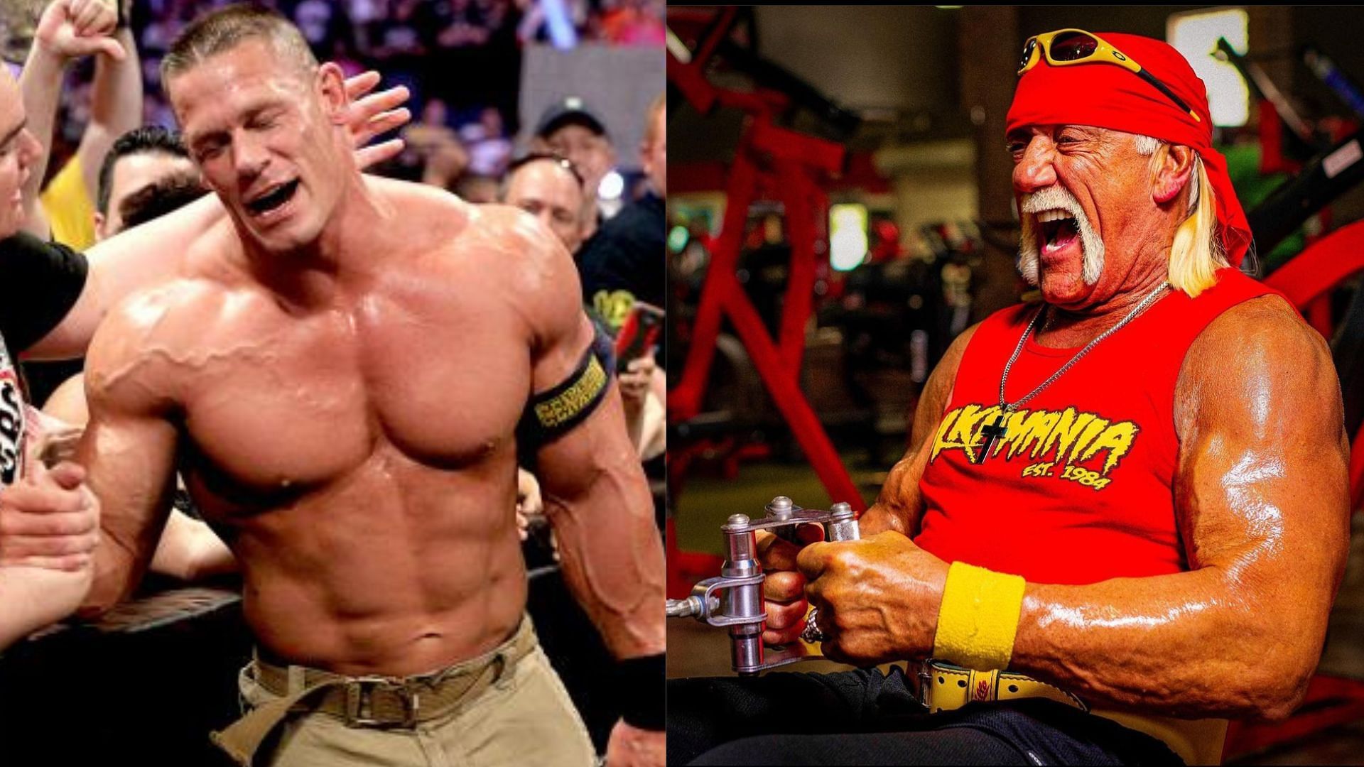Comparing the size of John Cena and Hulk Hogan