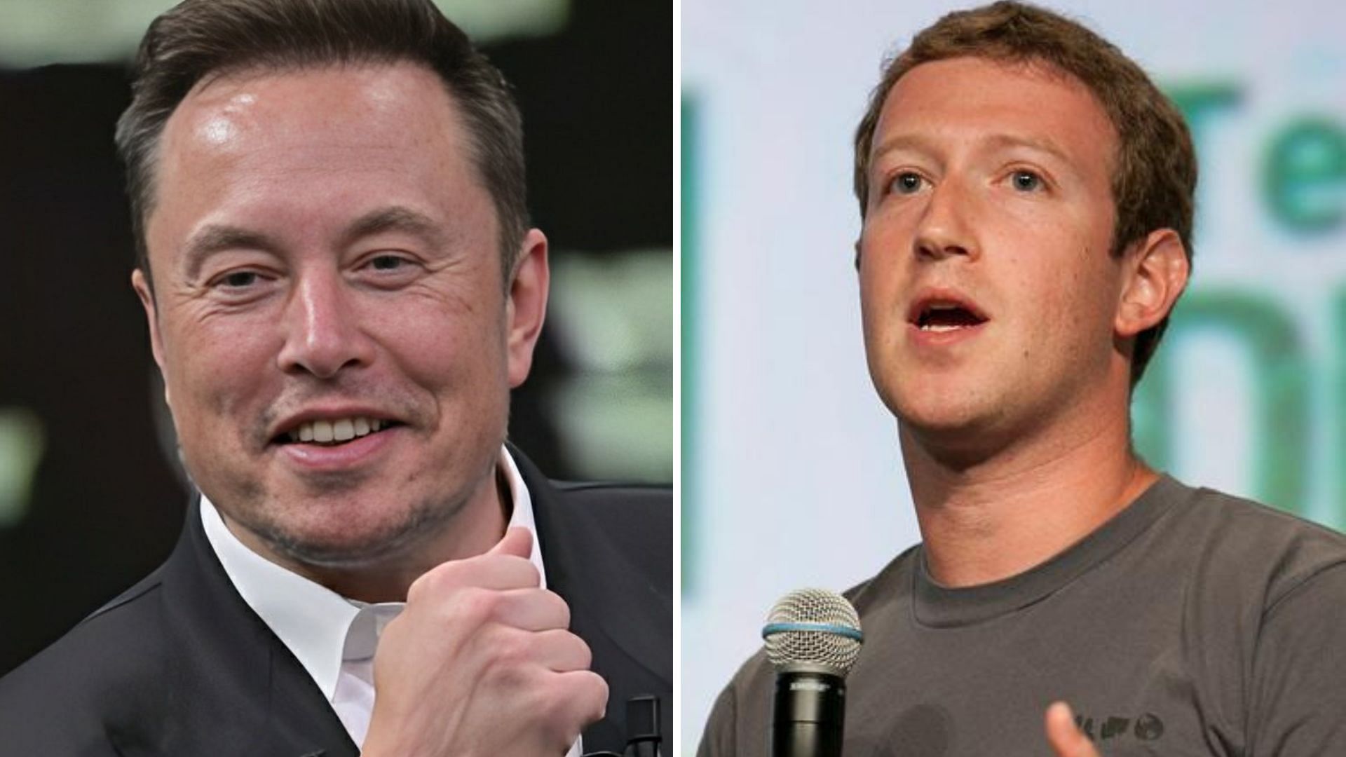 Mark Zuckerberg vs Elon Musk is not the first 