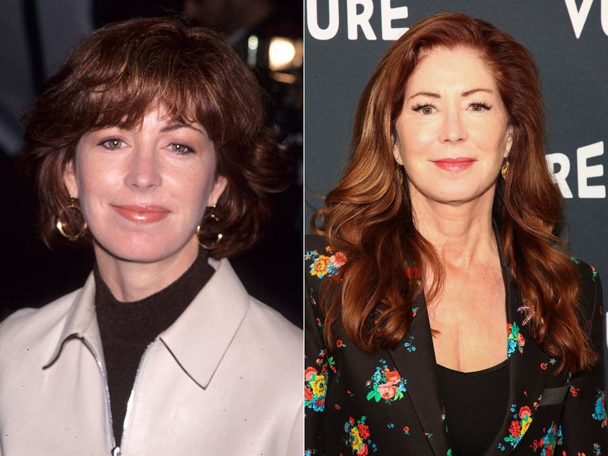 Stills of Dana Delany before (left) and after (right) plastic surgery (Images Via Getty Images)