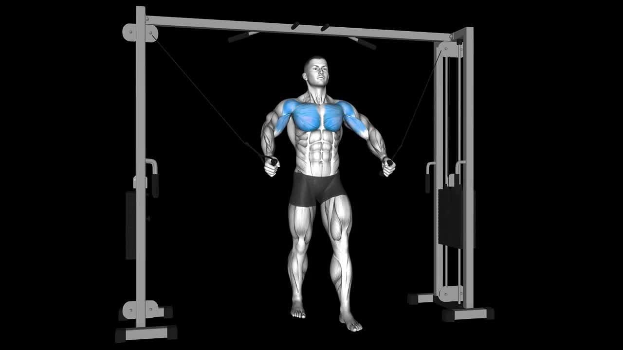 Integrating cable crossovers for the lower chest is beneficial. (Image via Fitnessai.com)