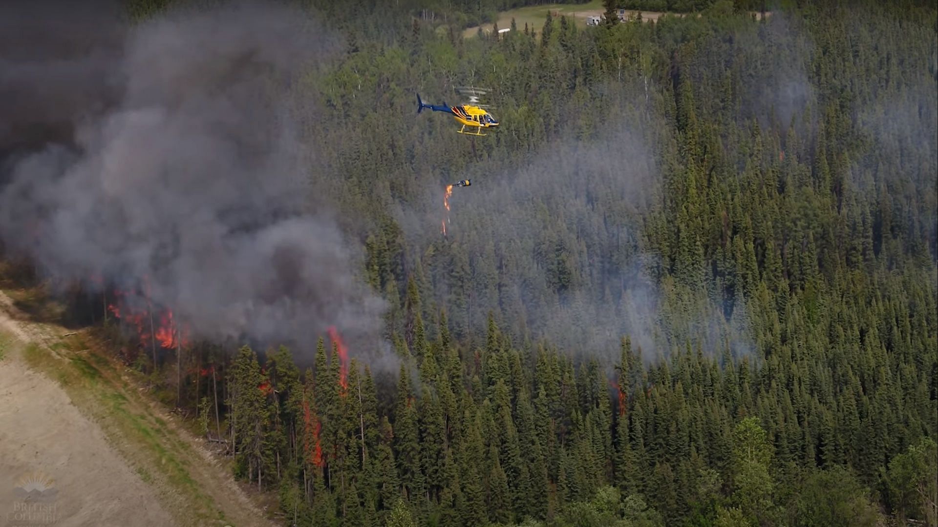 Fact Check Did helicopters start the Canada wildfire? Viral video debunked