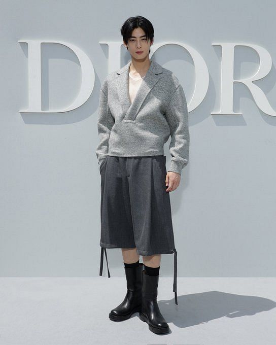 Handsome Portrait of Cha Eun Woo Attending Christian Dior Event, Exuding  Prince Charming Aura in Suit