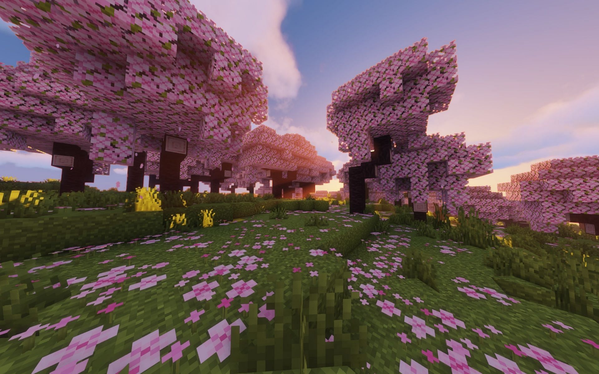 The Cherry Grove biome in Minecraft 1.20 (Image via Mojang)